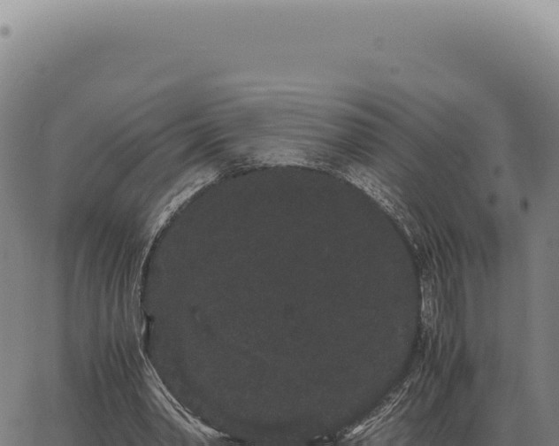 X0000063500390200601271750