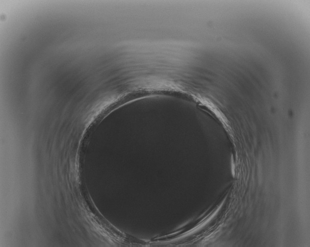 X0000063500391200601271750