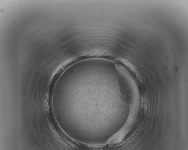 X0000063500392200601271750