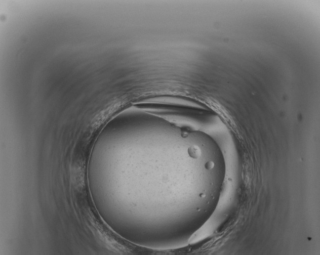 X0000063500393200601271750