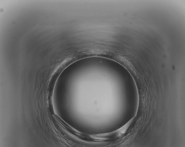 X0000063500395200601271750