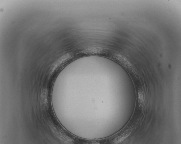 X0000063500396200601271750