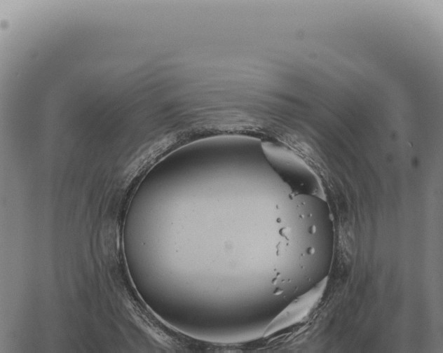 X0000063500397200601271750