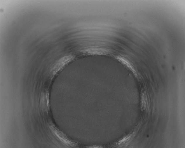 X0000063500398200601271750