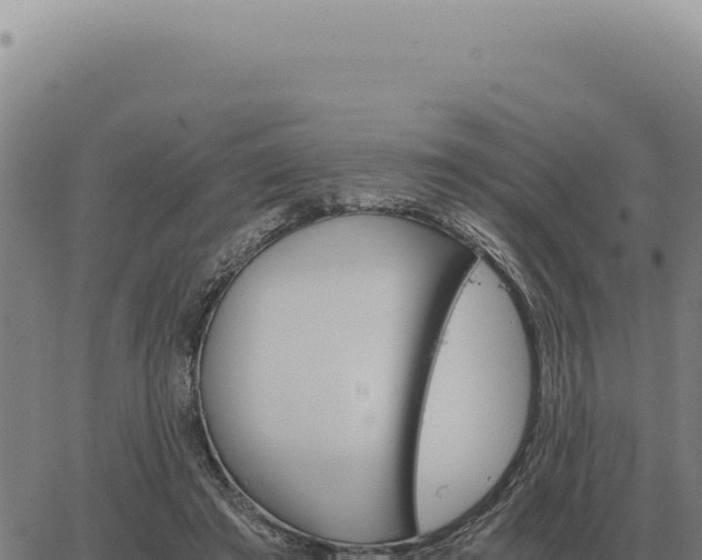 X0000063500401200601271750