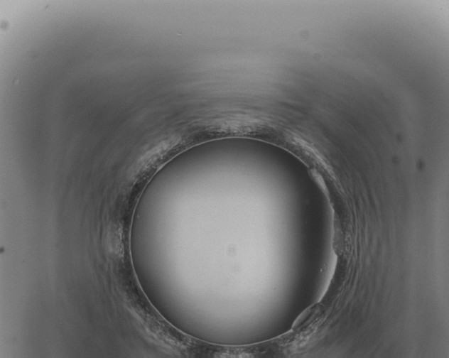 X0000063500403200601271750