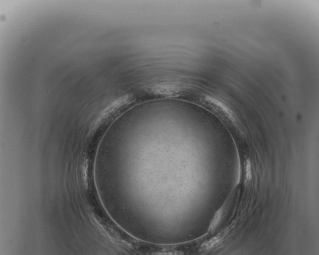 X0000063500404200601271750