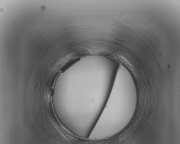 X0000063500405200601271750