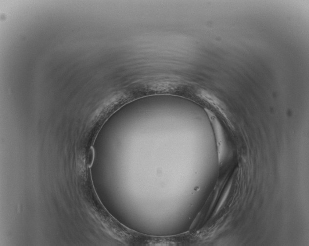 X0000063500407200601271750