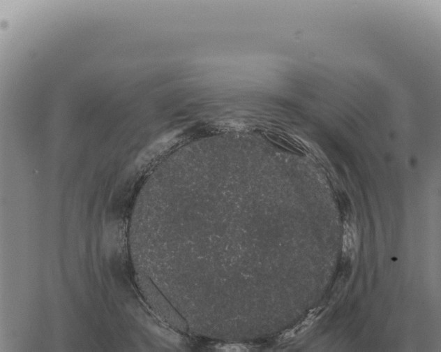 X0000063500409200601271750