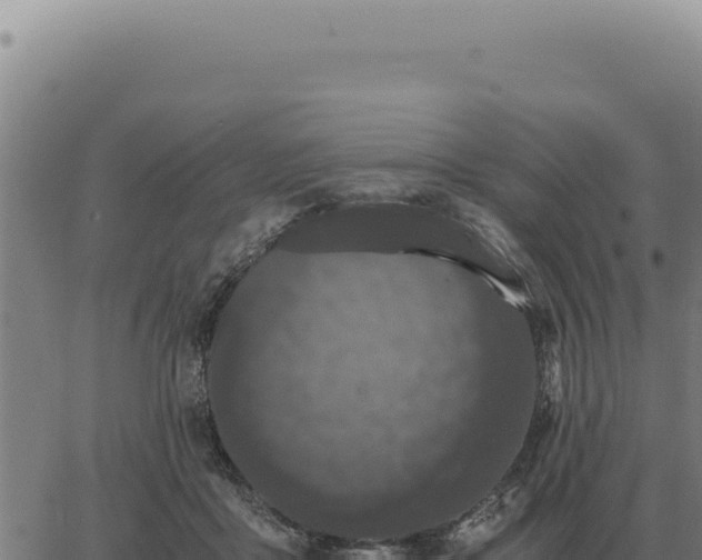 X0000063500411200601271750