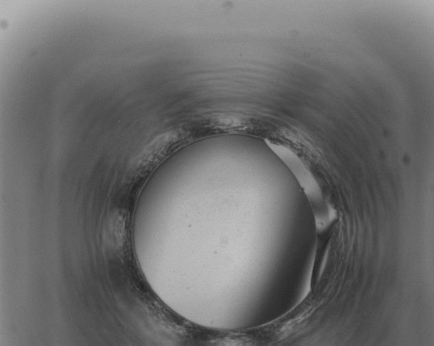 X0000063500412200601271750