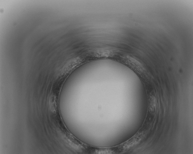 X0000063500414200601271750