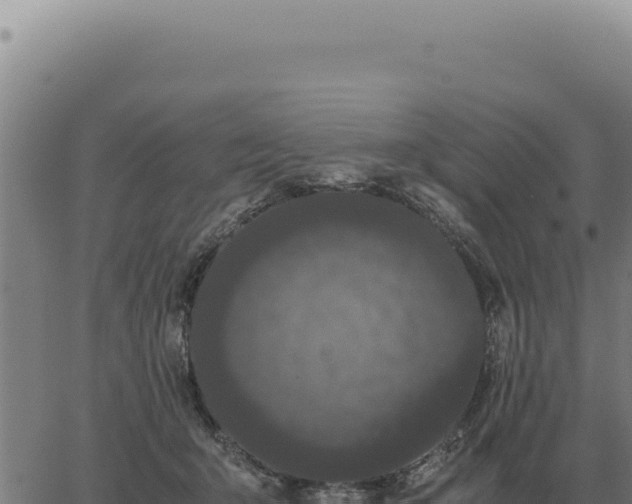 X0000063500415200601271750