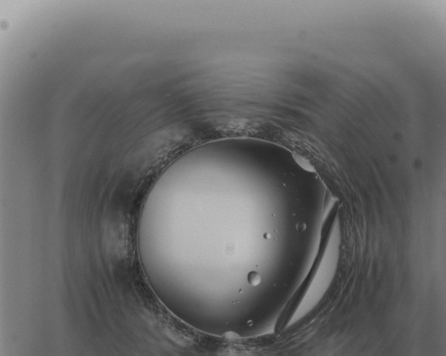 X0000063500416200601271750