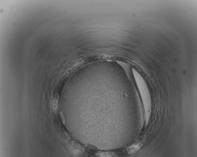 X0000063500417200601271750