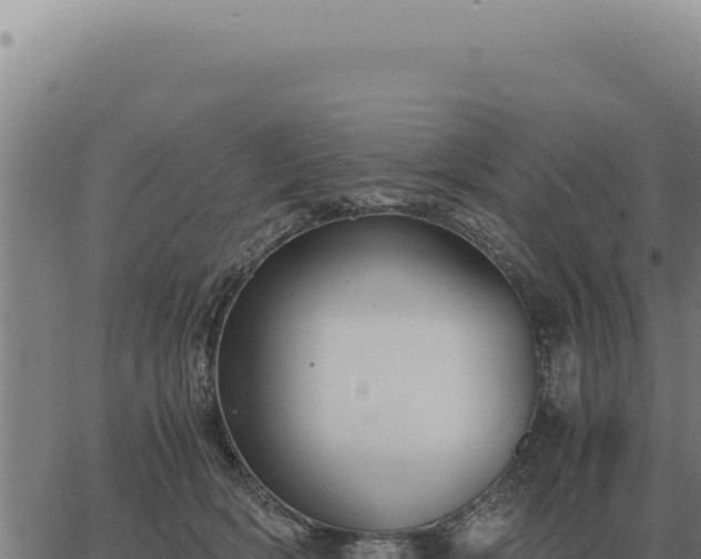 X0000063500418200601271750