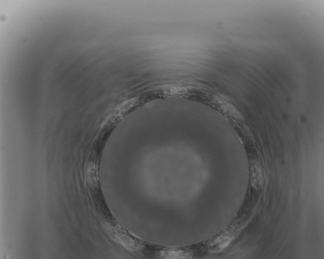 X0000063500419200601271750