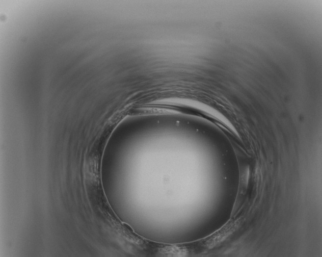 X0000063500421200601271750