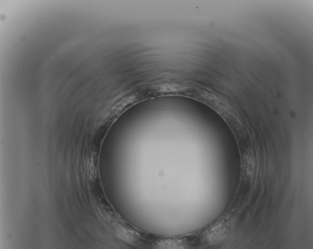 X0000063500422200601271750