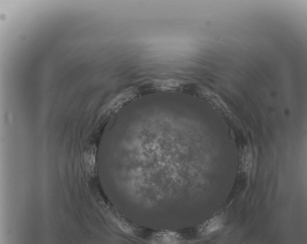 X0000063500427200601271750