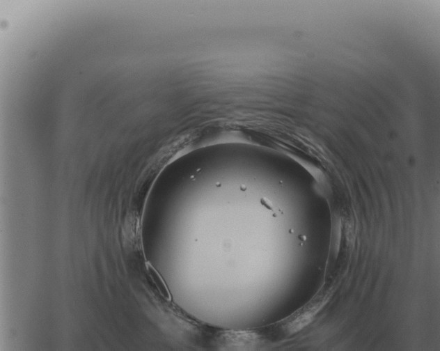 X0000063500429200601271750