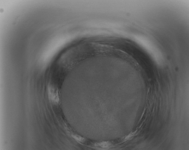 X0000063500431200601271750