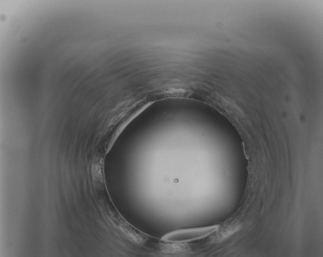 X0000063500432200601271749