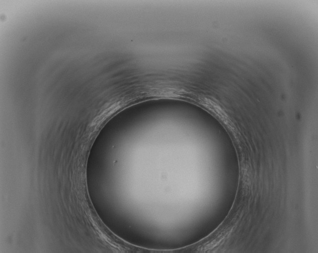 X0000063500433200601271749