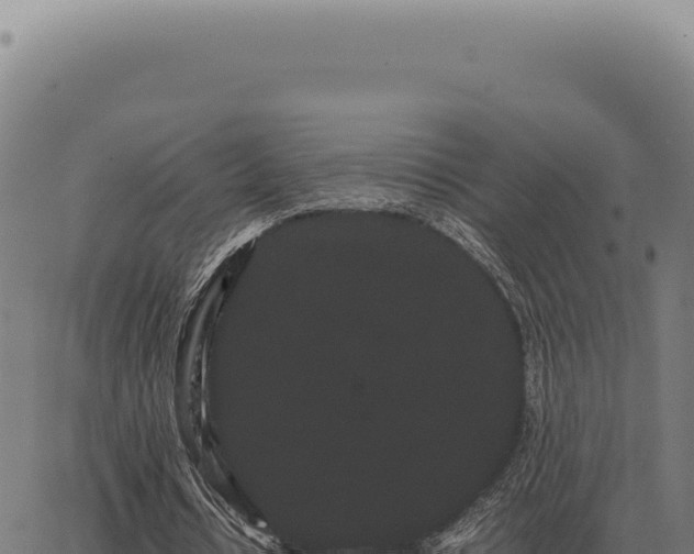 X0000063500434200601271749