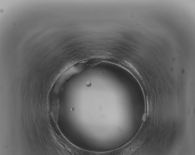 X0000063500435200601271749