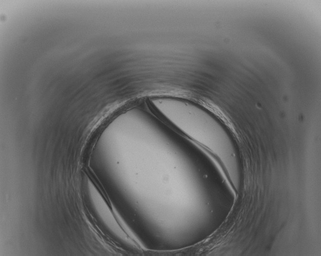 X0000063500436200601271749