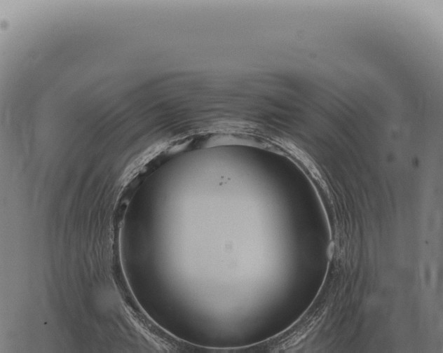 X0000063500437200601271749