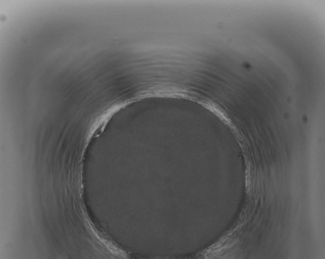 X0000063500438200601271749