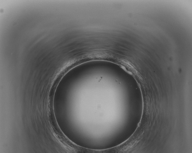 X0000063500439200601271749