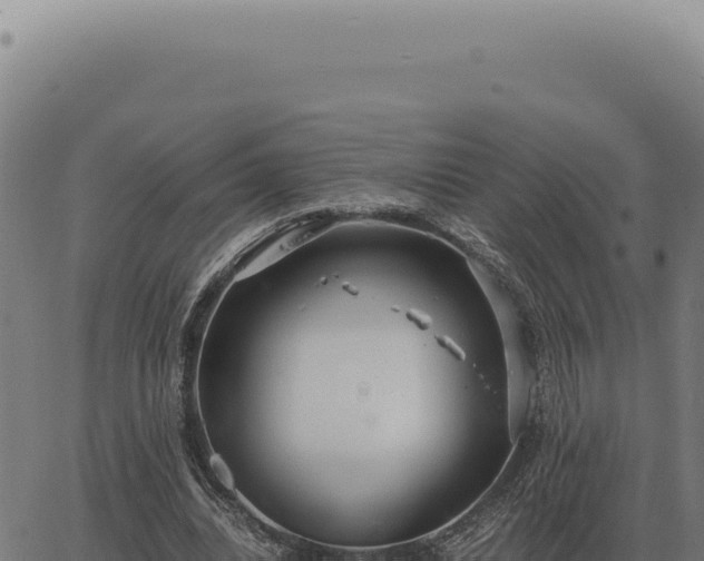 X0000063500440200601271749