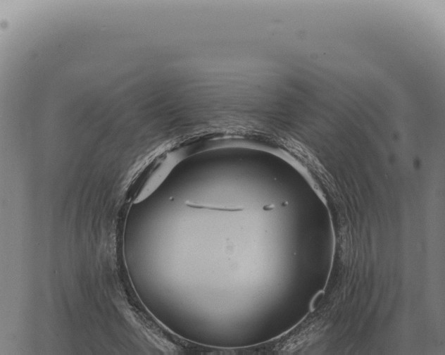 X0000063500442200601271749