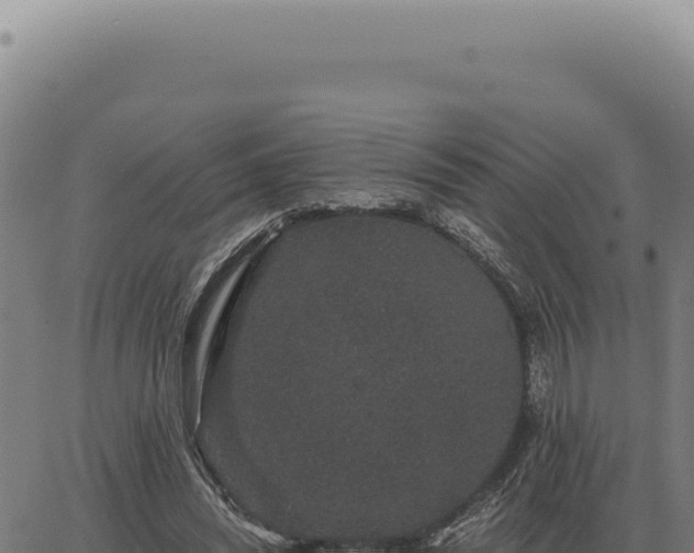 X0000063500444200601271749