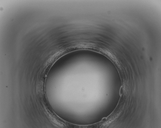 X0000063500445200601271749