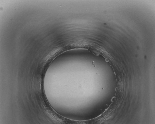 X0000063500446200601271749