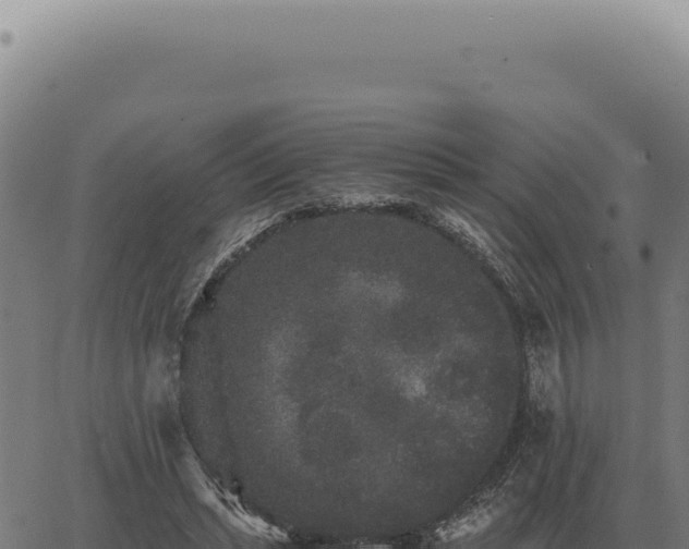 X0000063500447200601271749