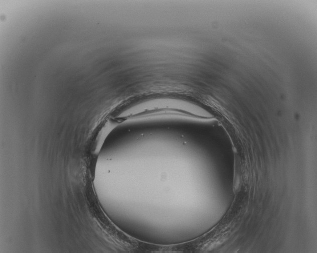 X0000063500448200601271749