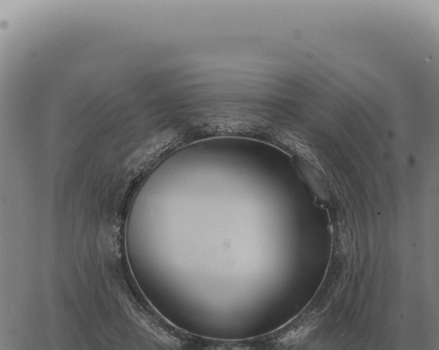 X0000063500450200601271749