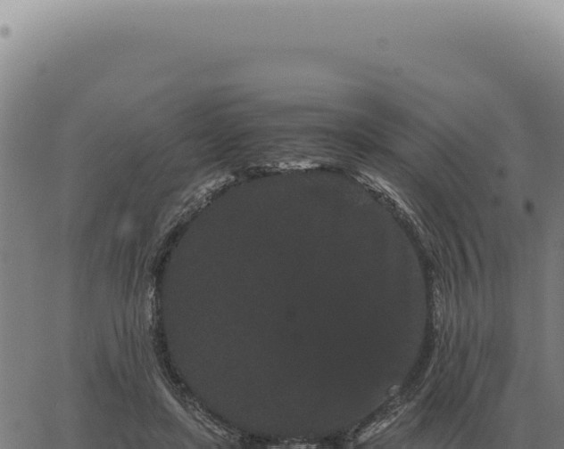 X0000063500451200601271749