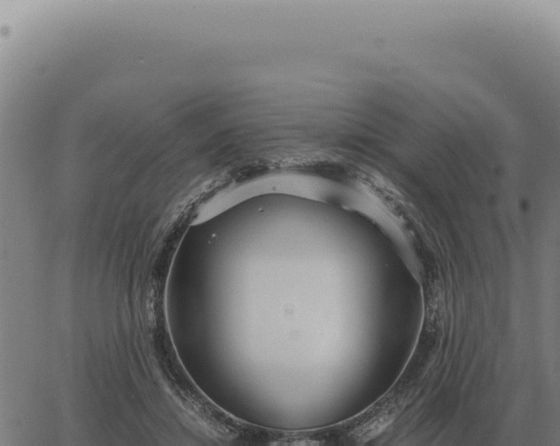 X0000063500452200601271749