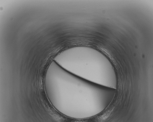 X0000063500453200601271749