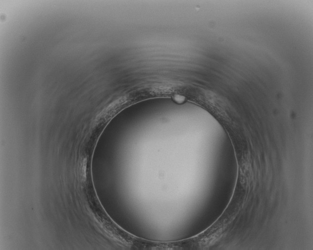 X0000063500454200601271749