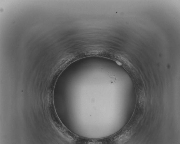 X0000063500455200601271749