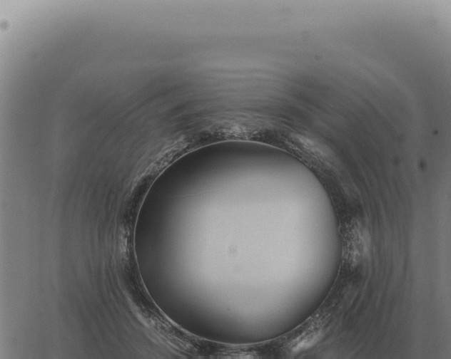 X0000063500456200601271749