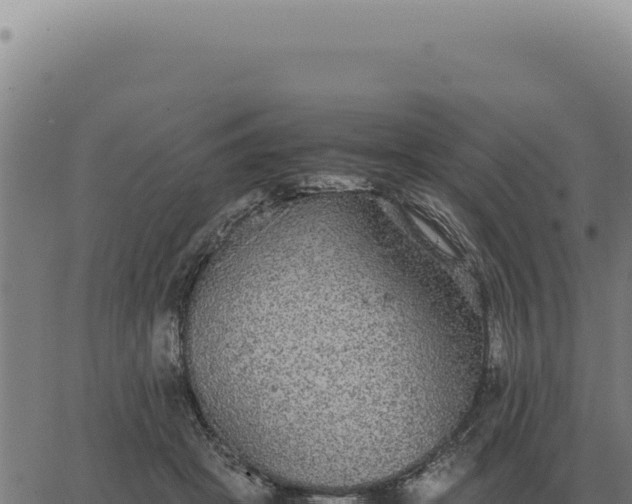 X0000063500457200601271749